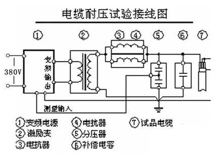 实验法的原理是什么_白带是什么图片